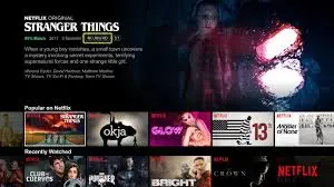 Netflix MOD
